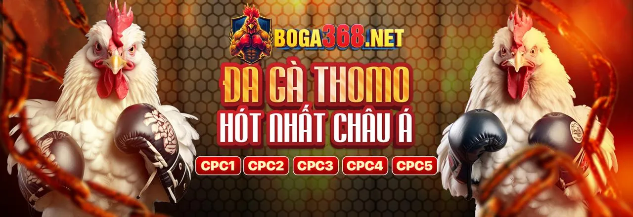 Các phương thức thanh toán an toàn tại cdbet win